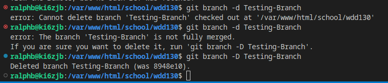 Git Branch Delete Command