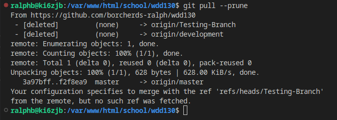 Git Prune Command