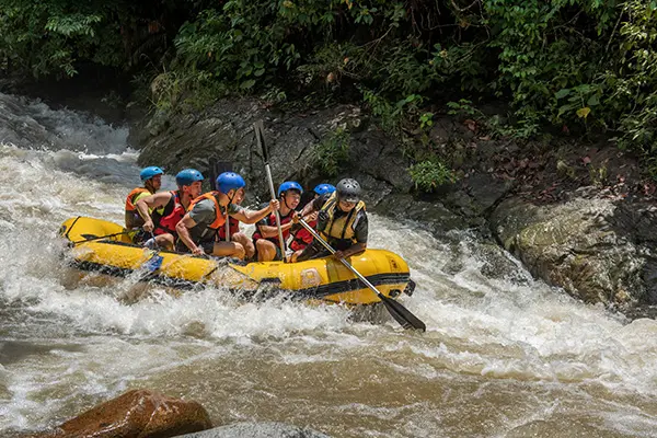 Group of people wearing blue helmets and orange life jackets paddling a yellow raft through fast-moving whitewater rapids surrounded by lush green forest and rocky riverbank conveying excitement and teamwork in an adventurous outdoor setting